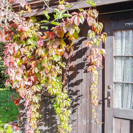 Daire Ferienwohnung Krenn 3 Bad Wiessee
